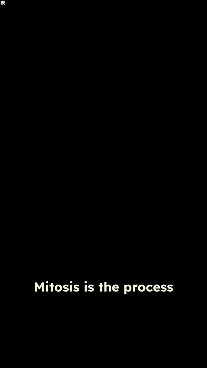 Understanding Mitosis: Cell Division Explained