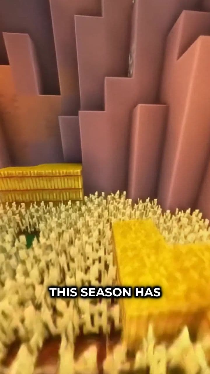 One Win From Playoffs