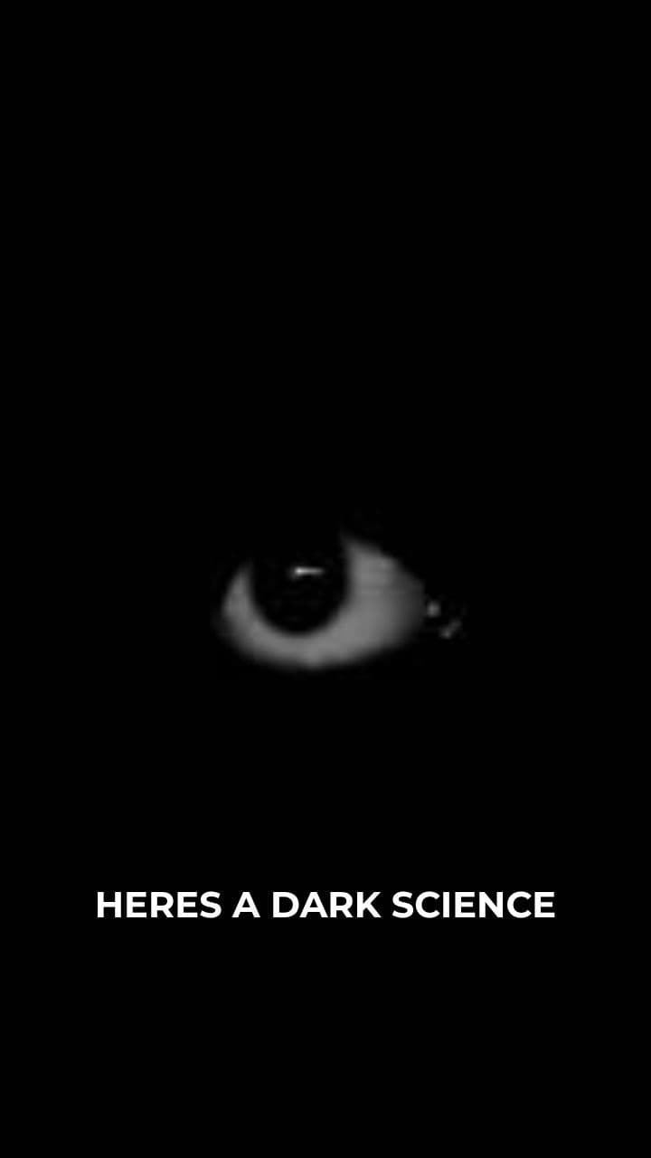 Your Brain Filters Reality