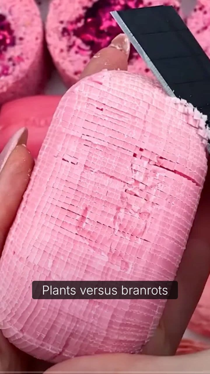Plants vs. Branrots