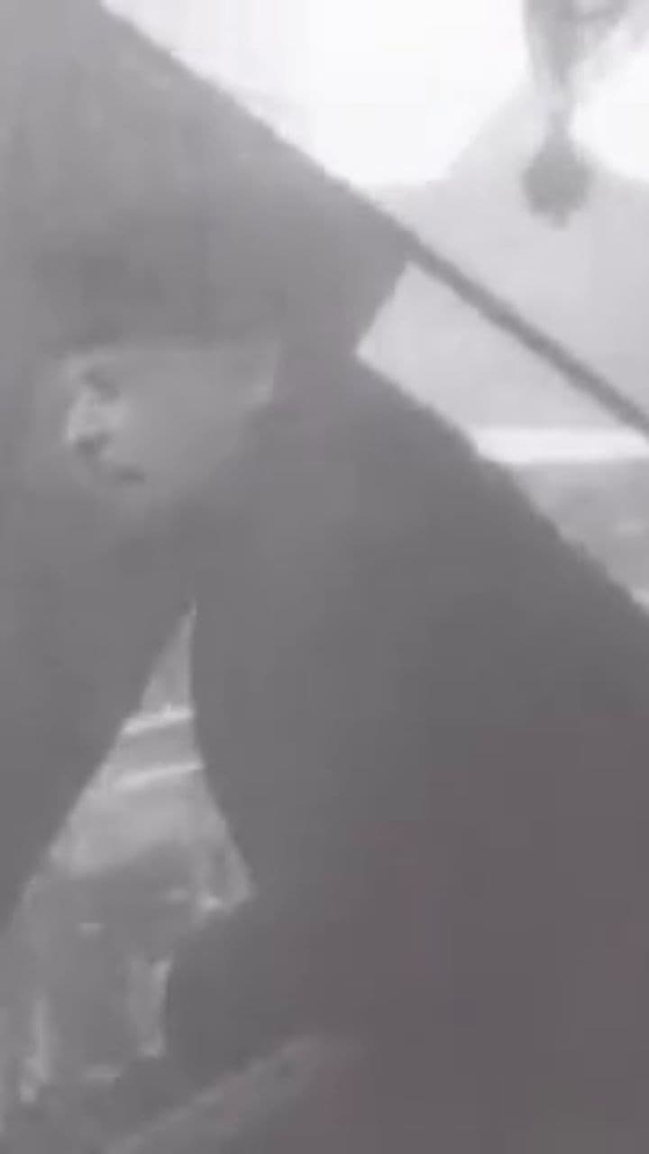 Red Army's Resolve Against Capitalist Forces