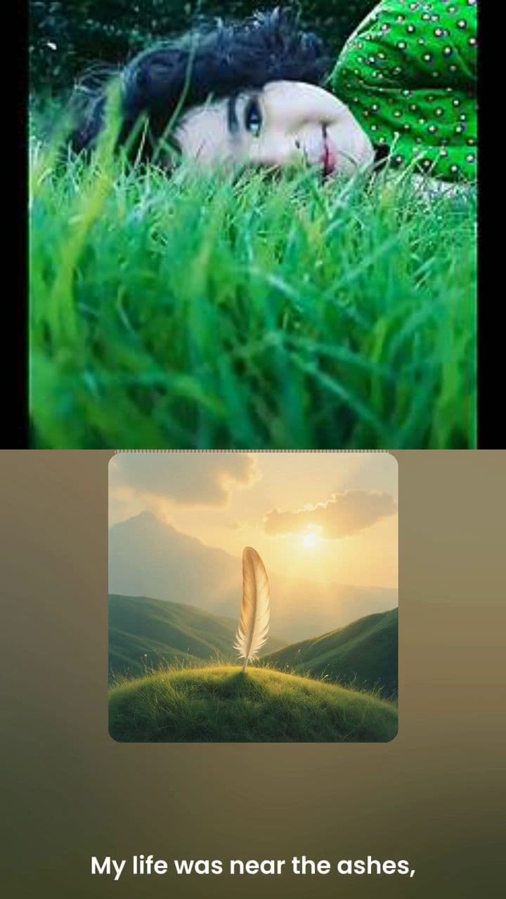 From Black Sheep to Friend