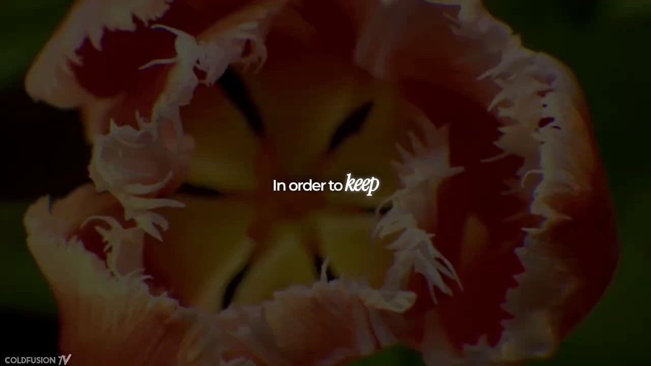 This Company Had Its Own Army & Waged Wars