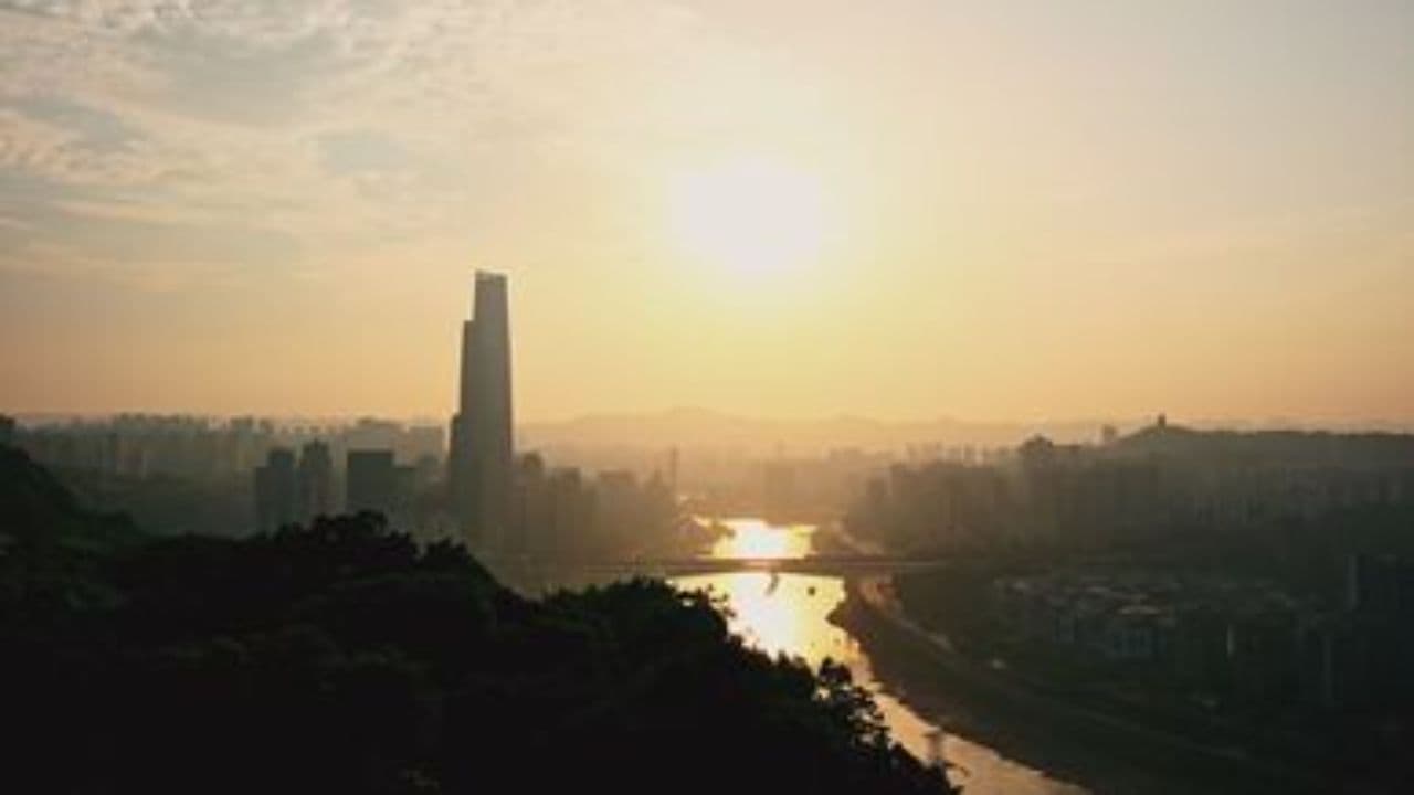 Seoul: A Global Megacity