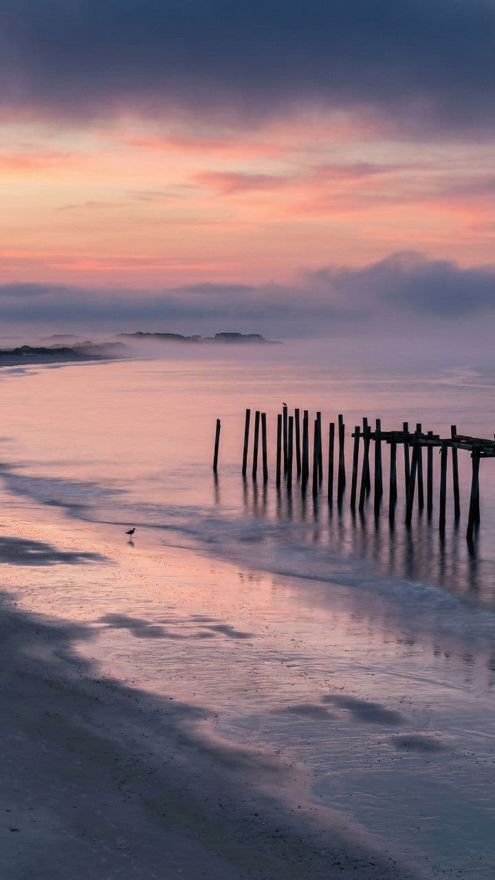 Carolina Made Me Anyway