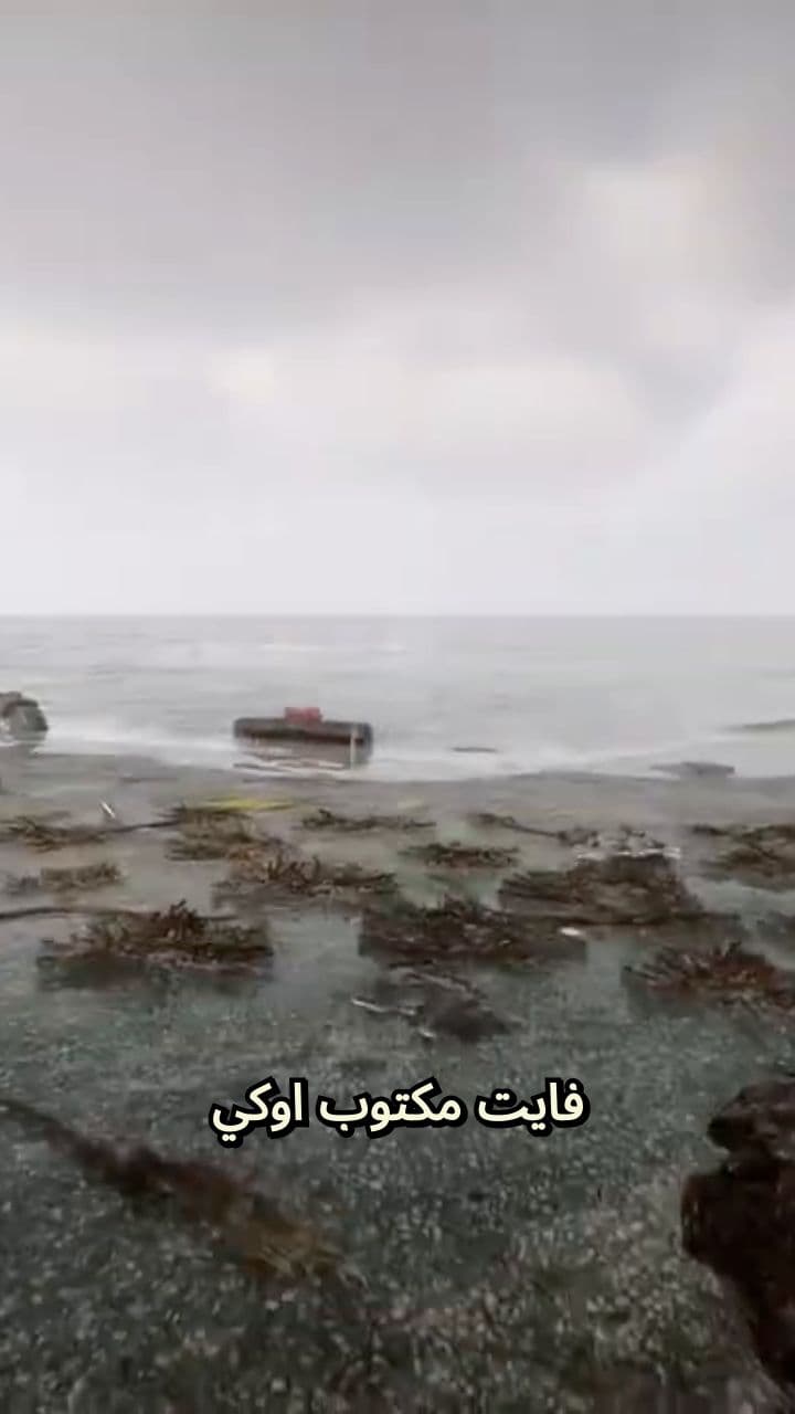 بداية كارثية في غابة الوحوش