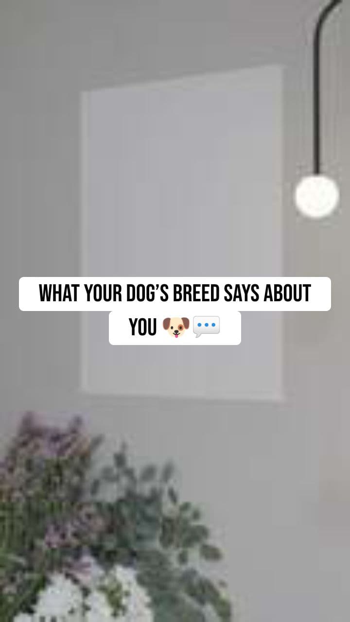 What Your Dog’s Breed Says About You 🐶💬