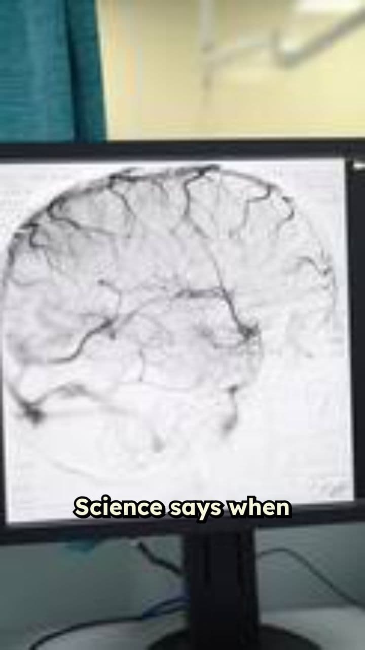 Veridical Perception Beyond Brain Death