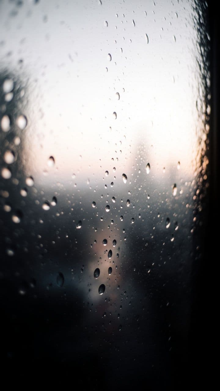 Aprendí a Volar Sin Mirar Atrás