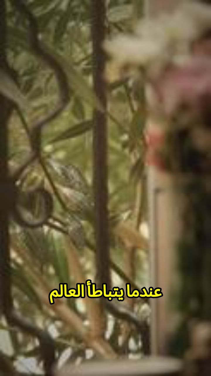 A Warm Moment... In the Heart of the Rain