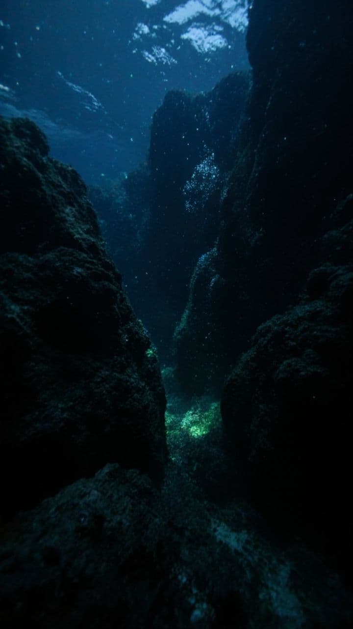 सनातन विज्ञान और मानव विकास के अवतार