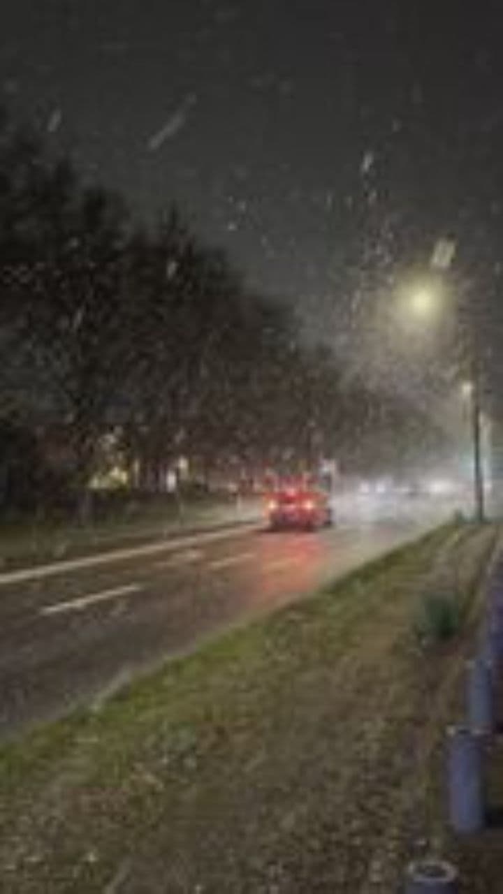 Împreună în liniștea iernii