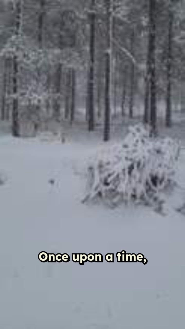 The Dragon's Challenge