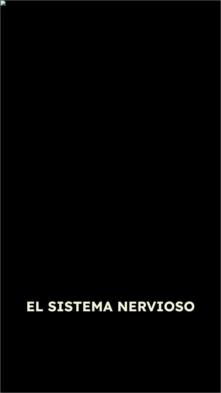 El Sistema Nervioso: Estructura y Funciones