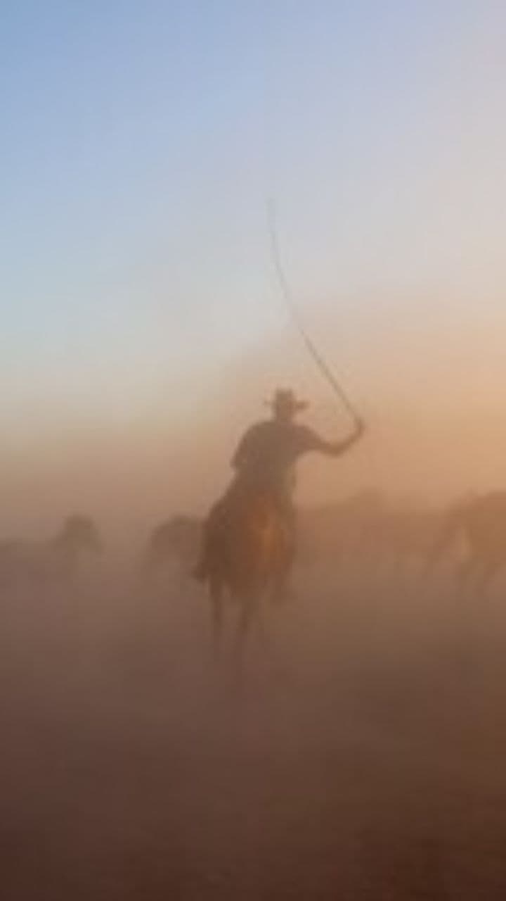 Cowboy Dreams and Cowgirl Love