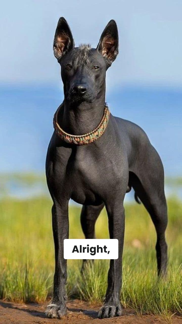 Anton's Birthday Bash