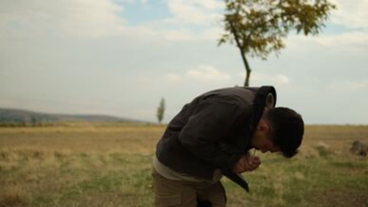 The Spirit Is Speaking