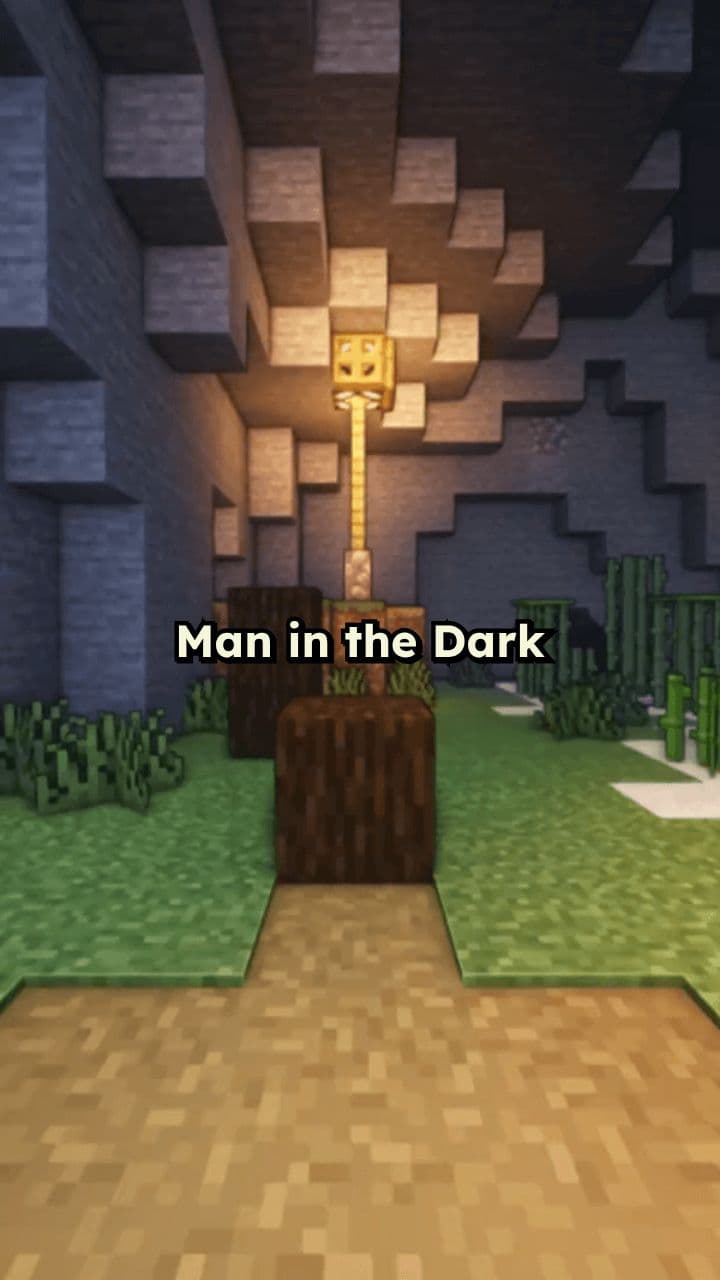 Man in the Dark