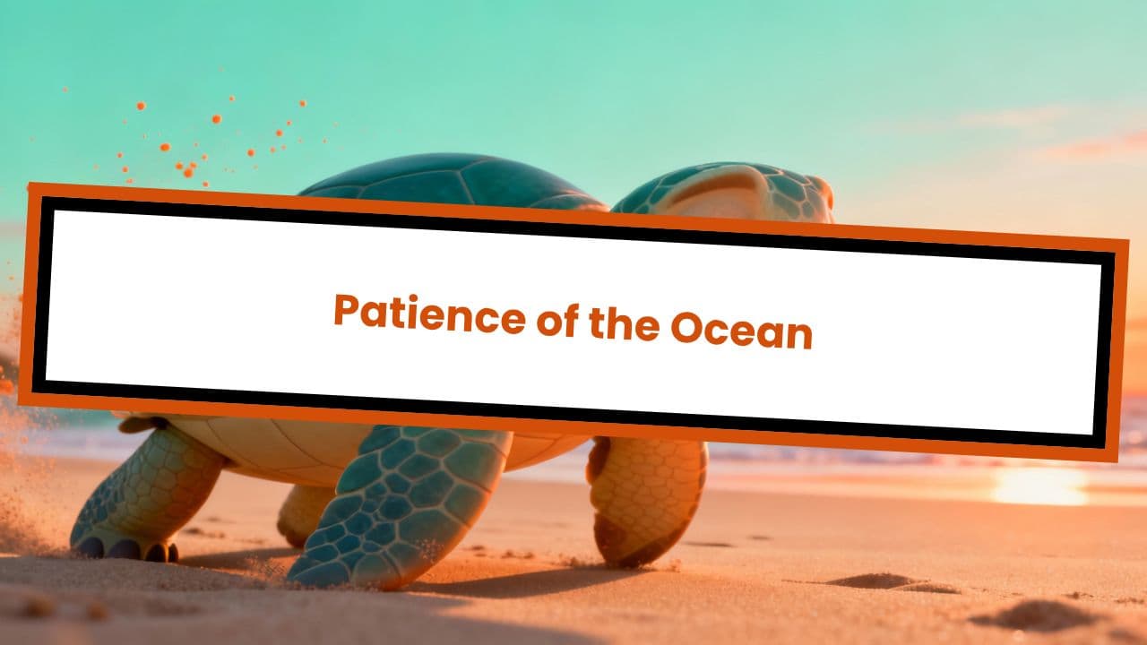 Patience of the Ocean