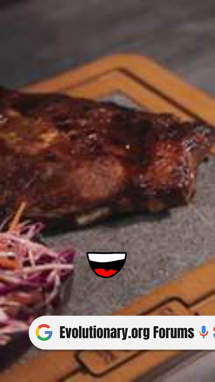 Comparing Beef Prices and Buying in Bulk