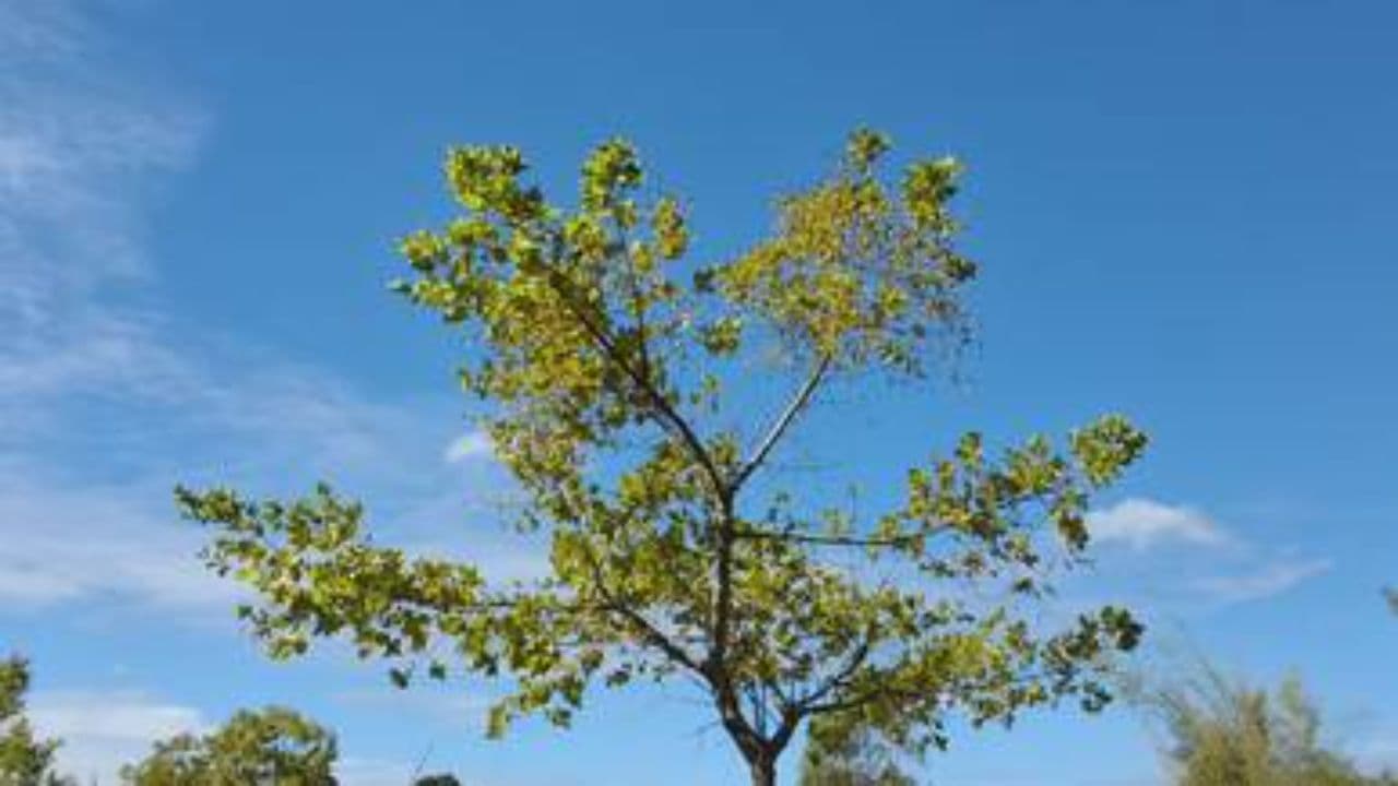 واقعیت‌های نوشیدن آب و سلامتی