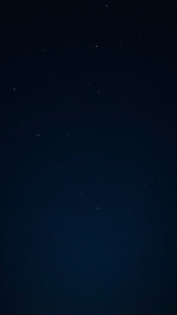 Christmas Day Celebration