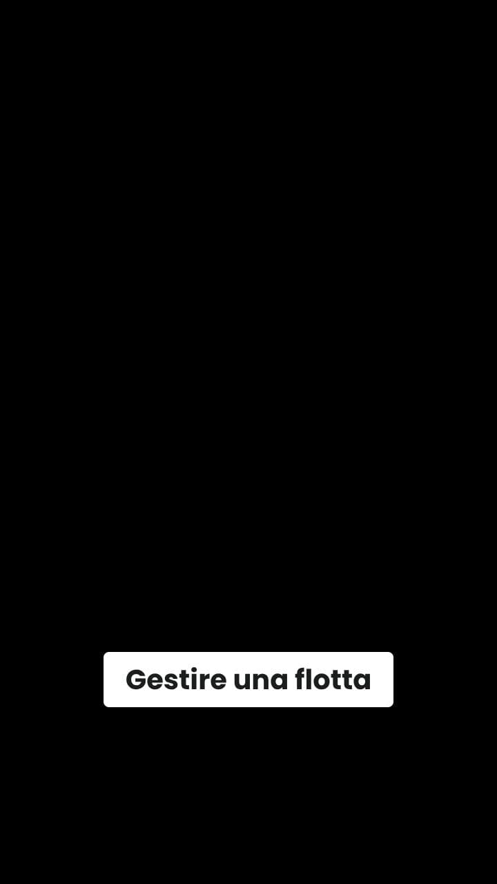 Fleetiqo: La Gestione Flotta in Stile Ghibli