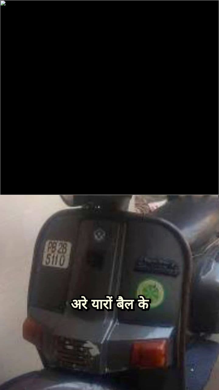 The Bizarre Bull Analogy