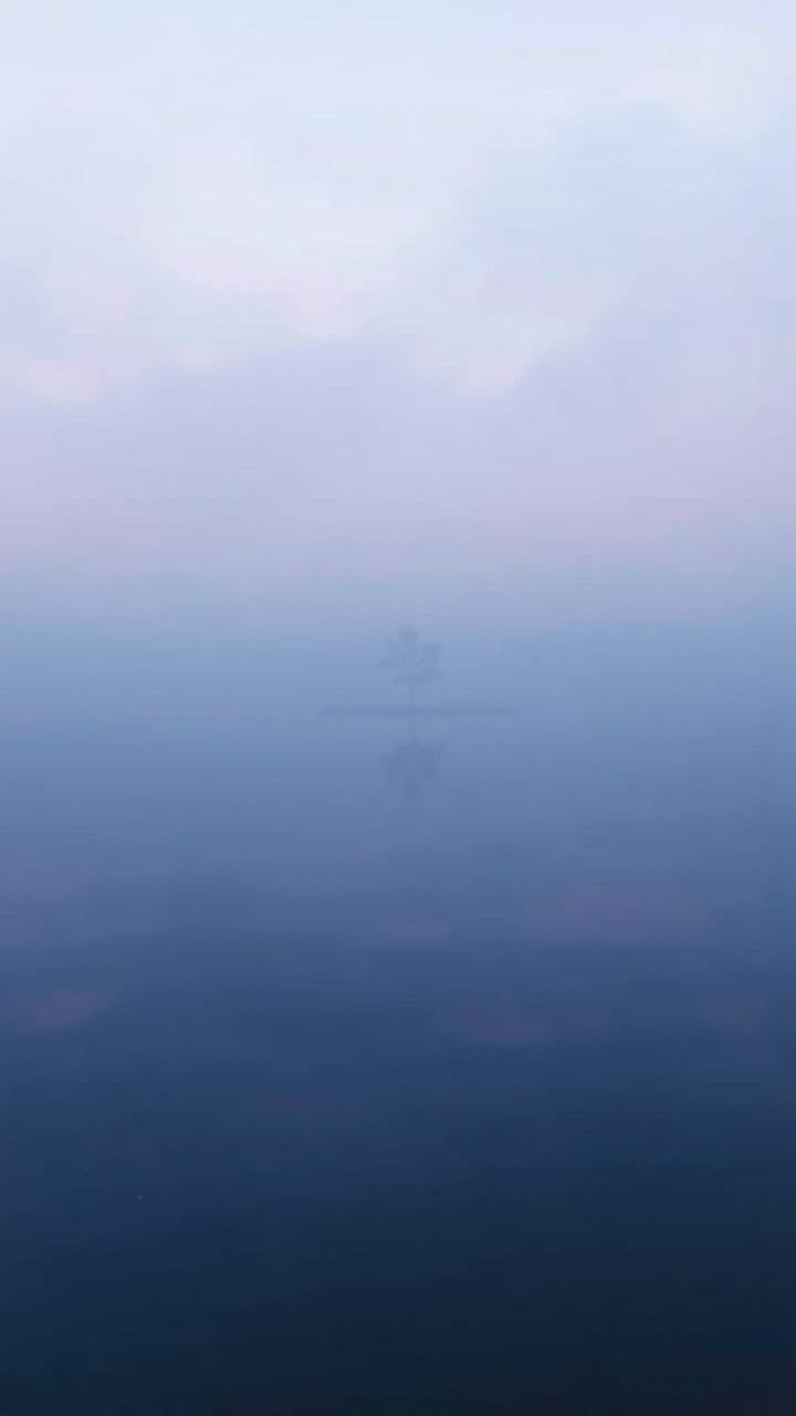 तस्वीरों के सहारे जीना