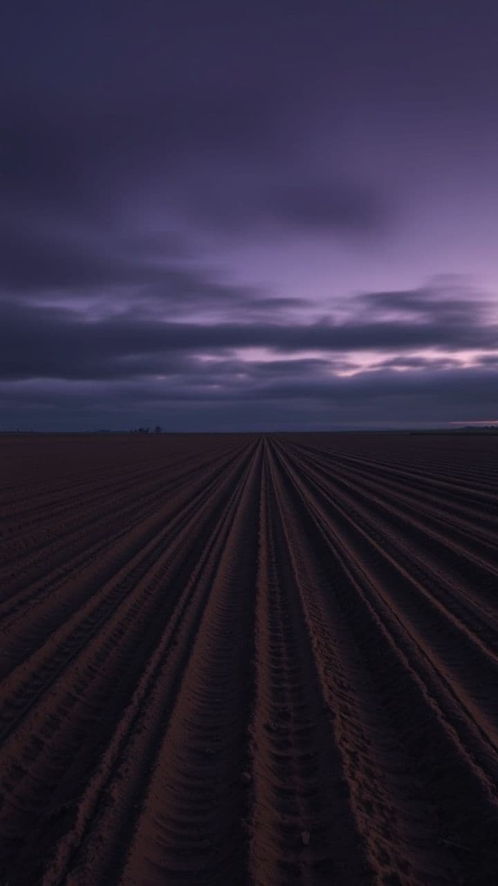 Sheriff Miller and Monterey's Devil