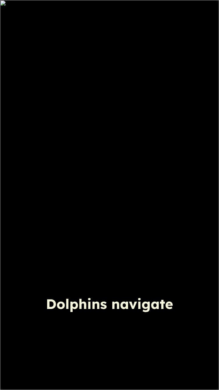 Nature's Inspiration for Modern Aviation