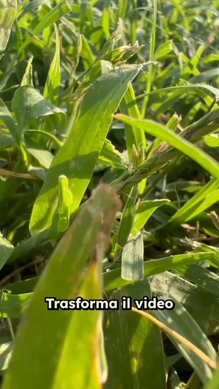 Upside Down di Stranger Things