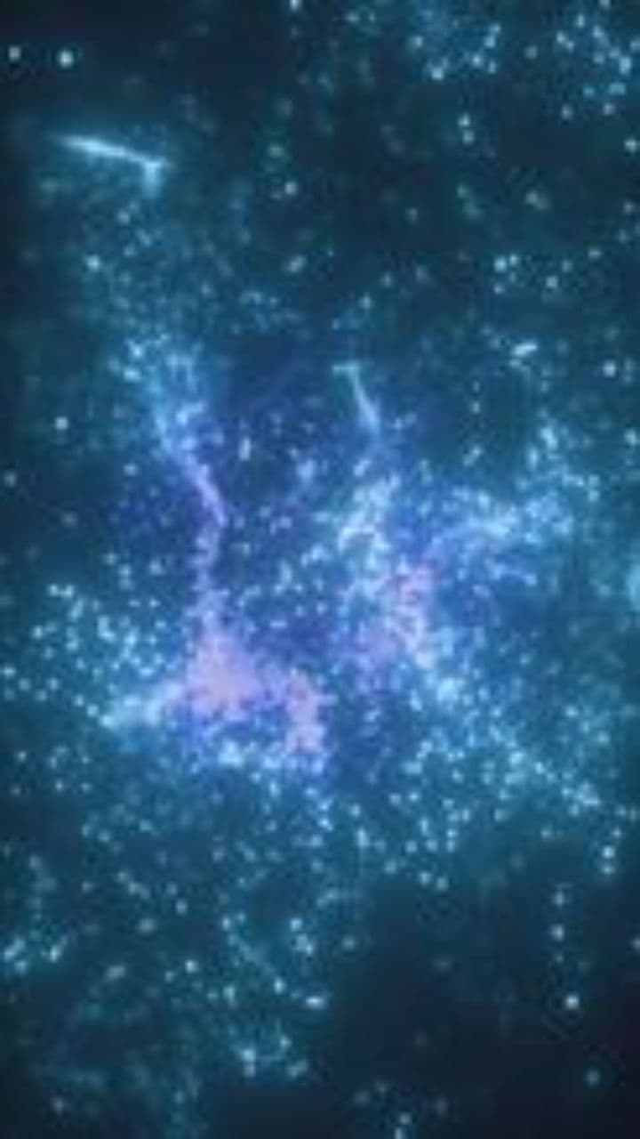 Lieb mich in der Nacht