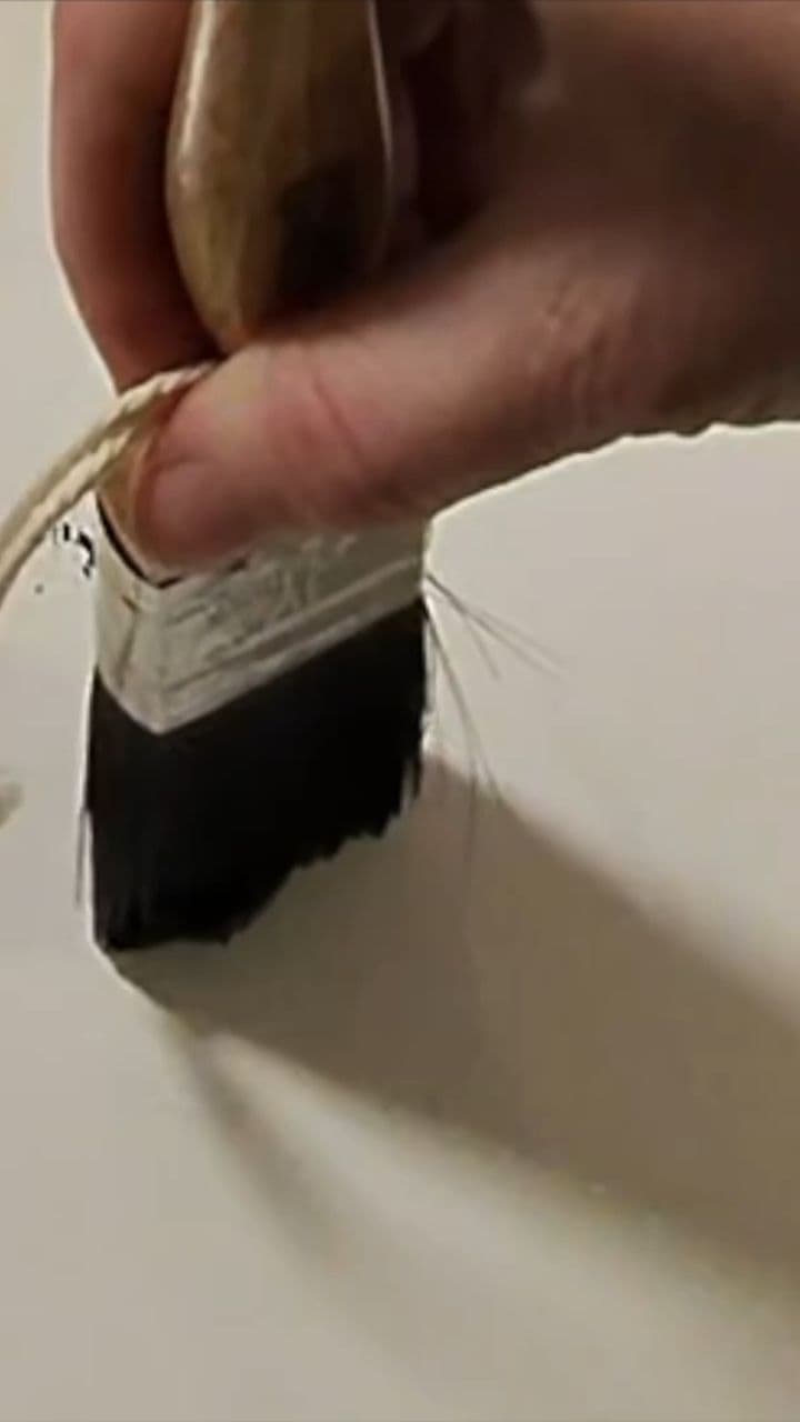 Spirals of Gold and Black