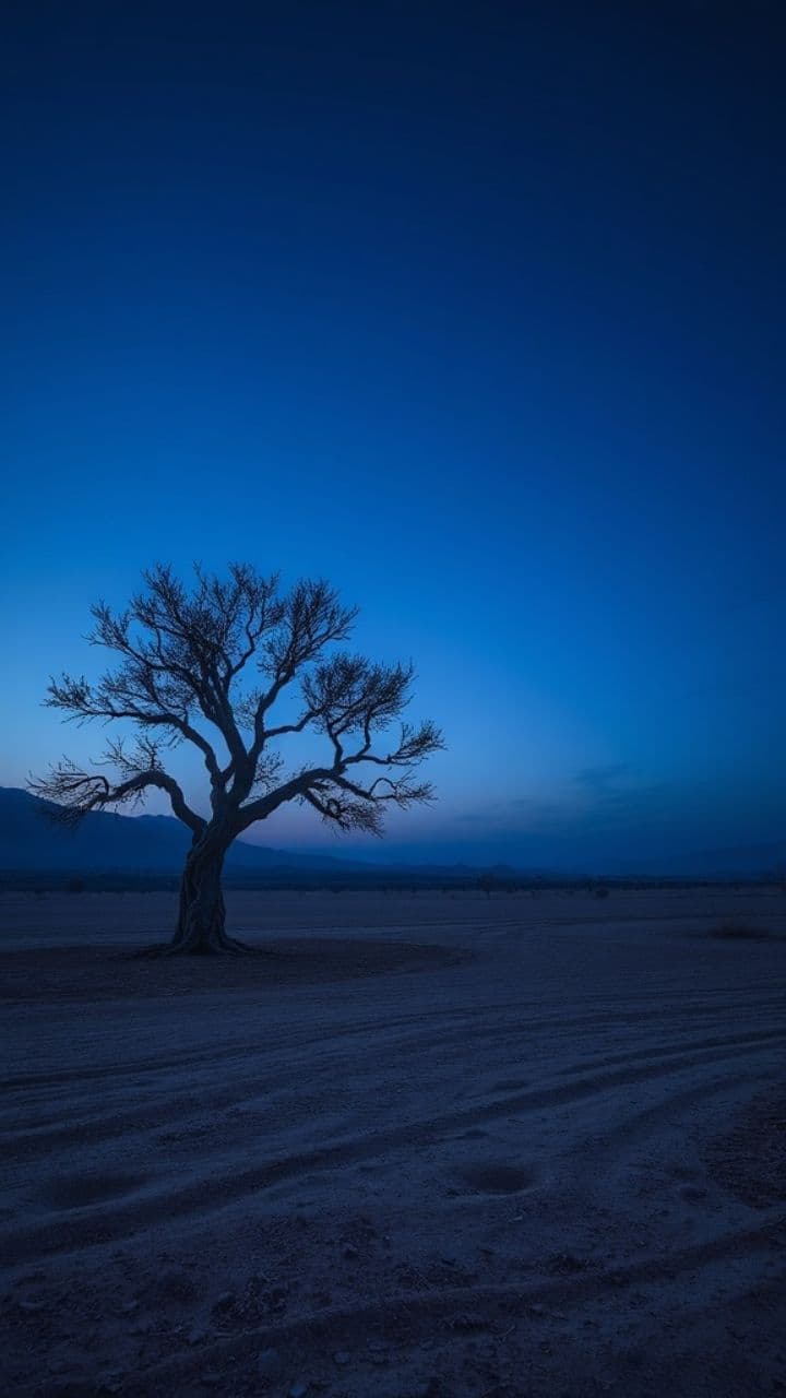 Forgiveness and Sacrifice