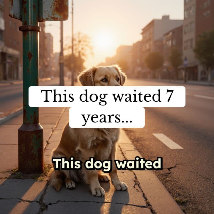 The Seven Year Wait