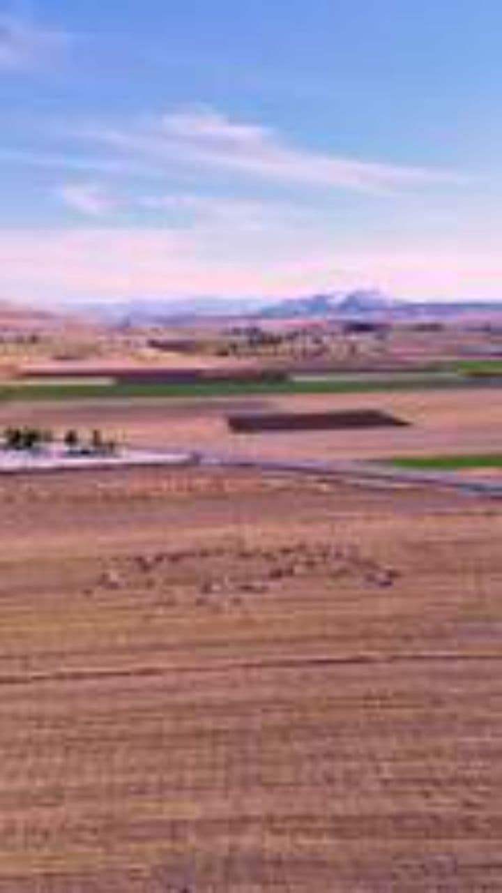 Arek szuka żony w Czarnkowie