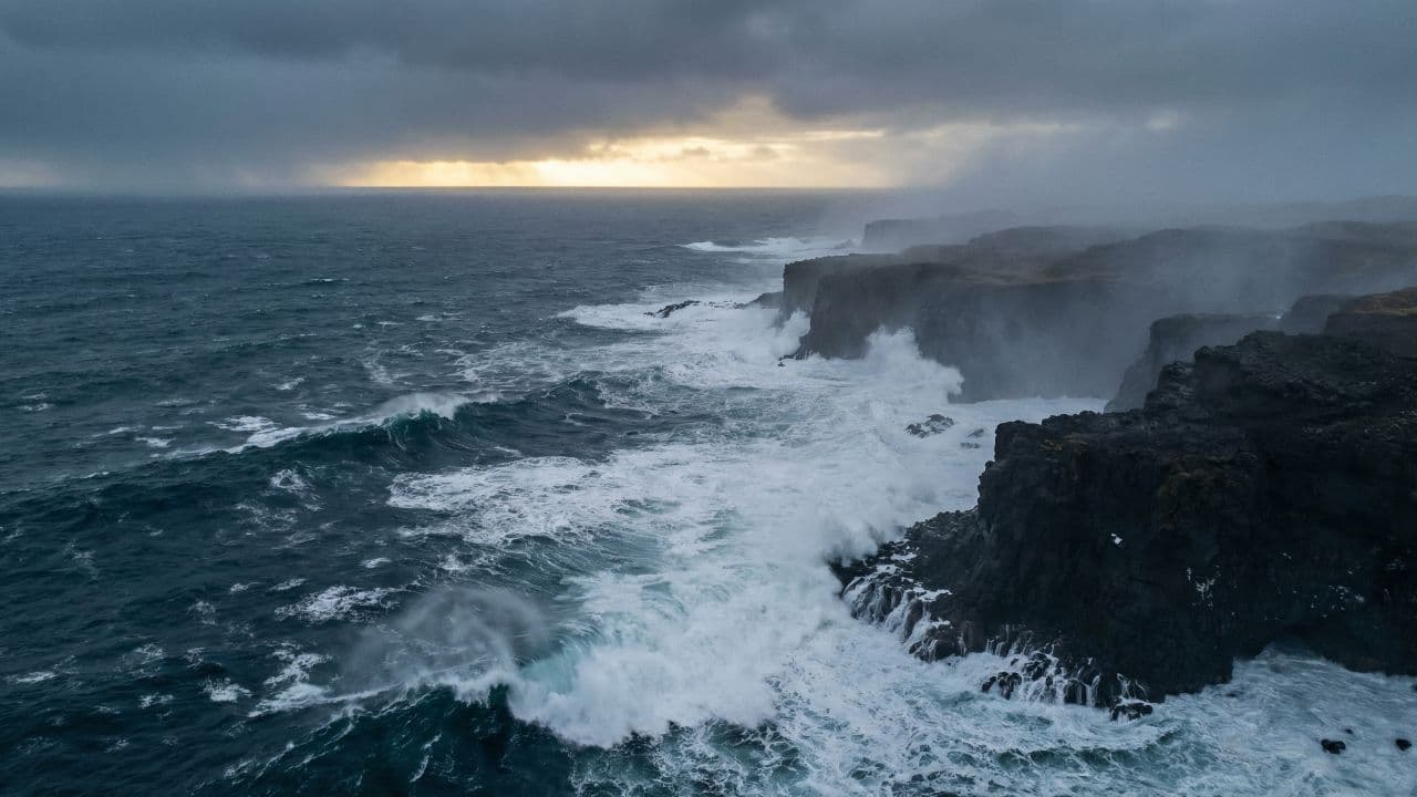 La respuesta sopla en el viento
