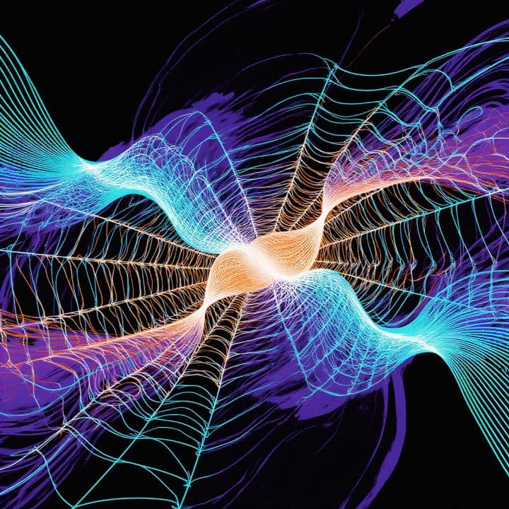 After the Storms We Weathered