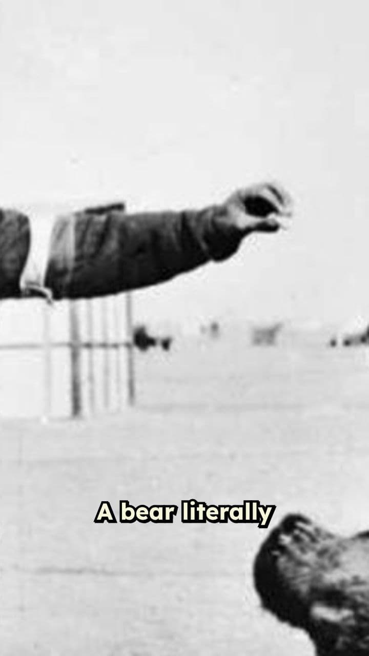 Weird Tales from World War II