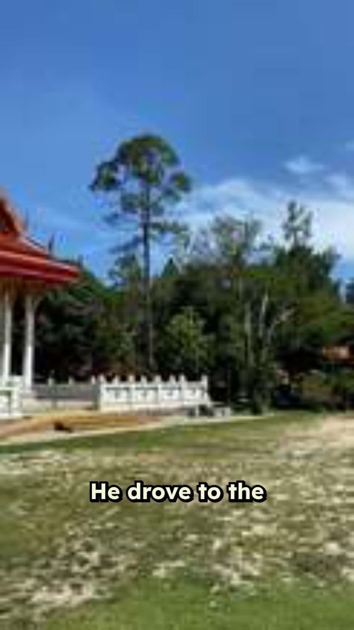 The Insult That Created Lamborghini