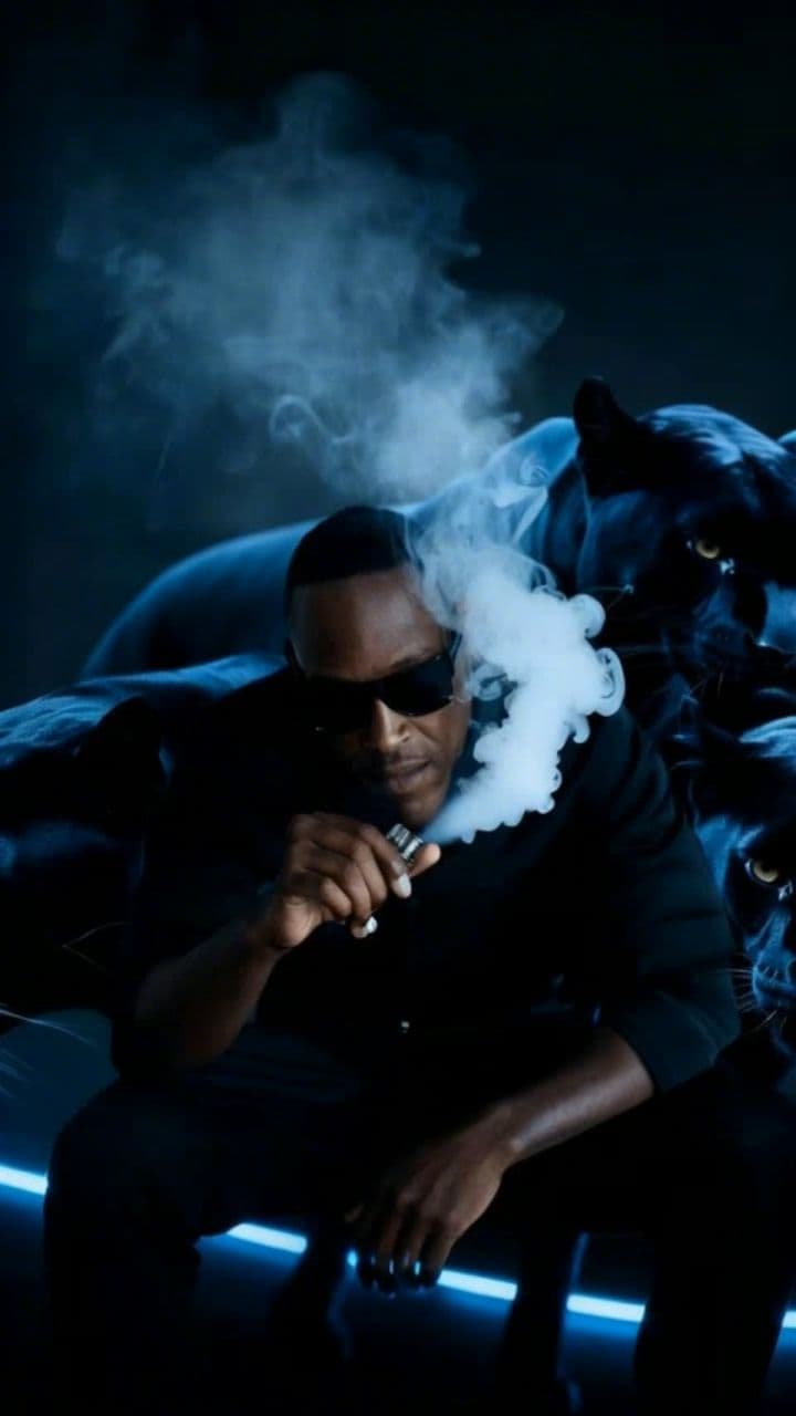 Image transform video