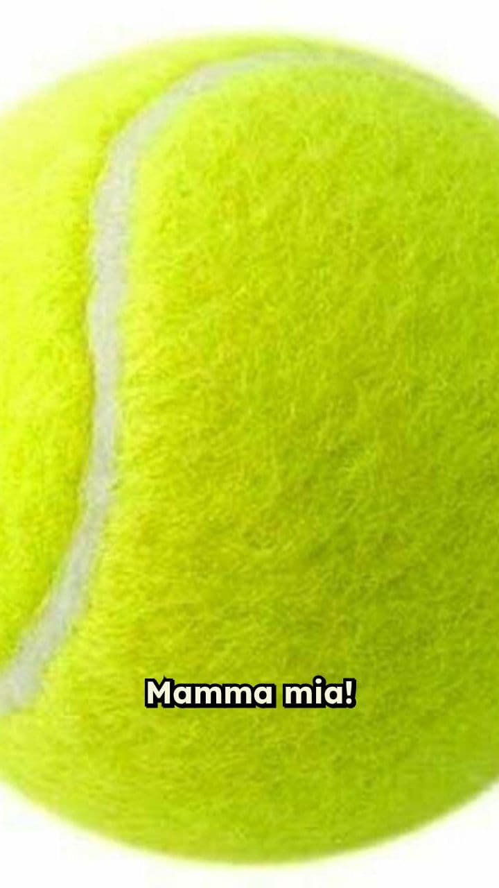 Calzino Raviolo's Epic Ride