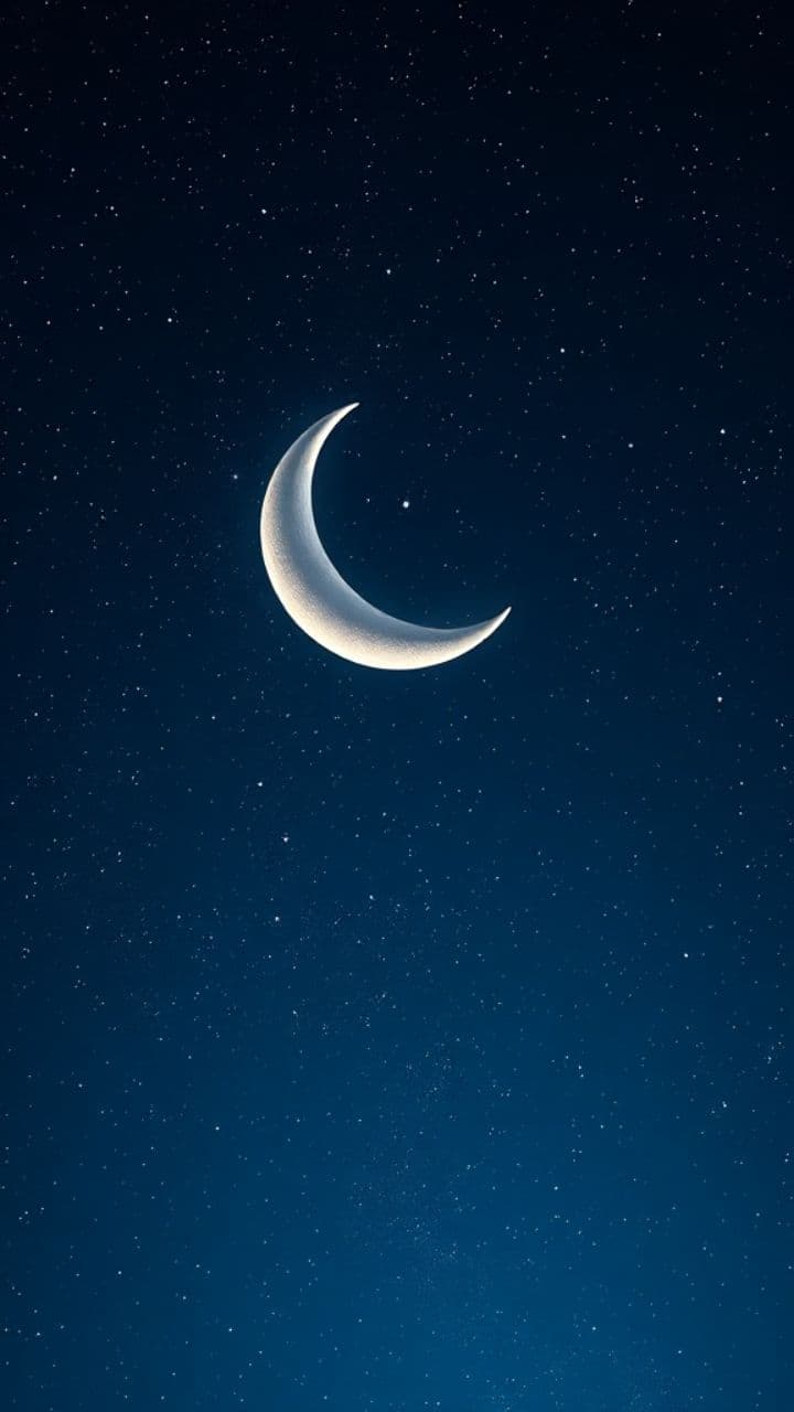 Twinkling Star's Nightly Dance