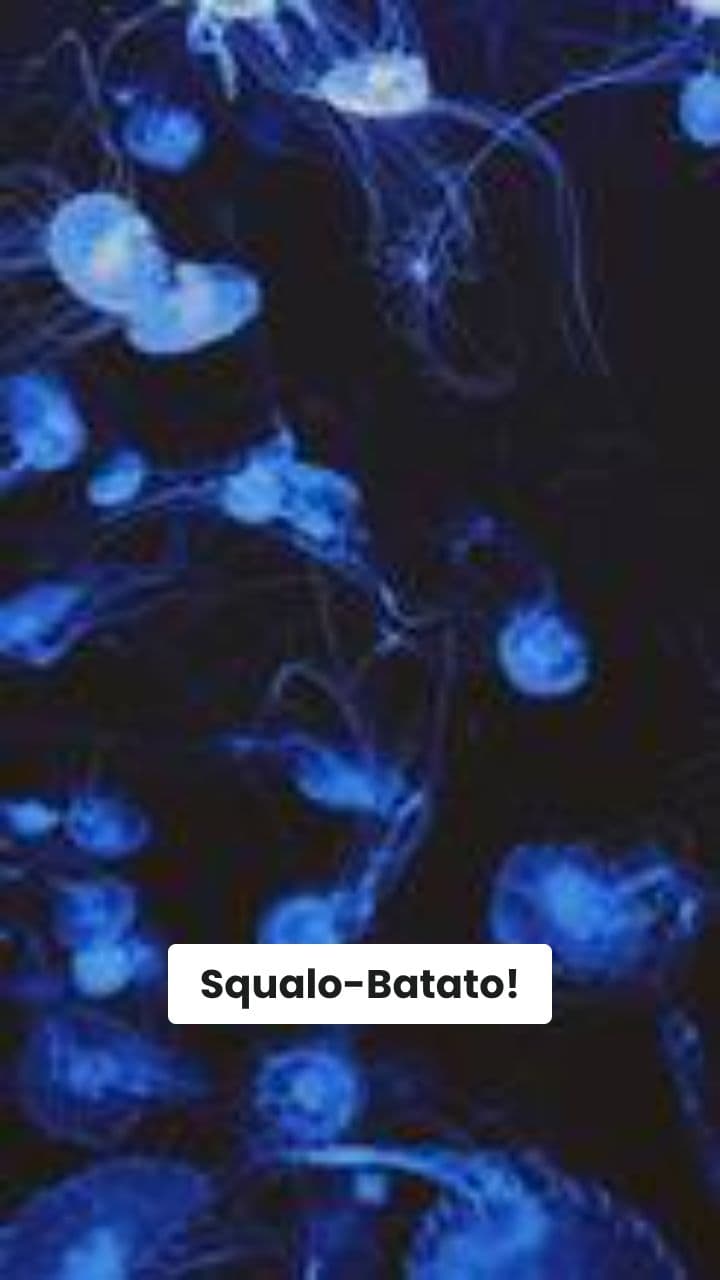 Squalo-Batato: Caos Sottomarino