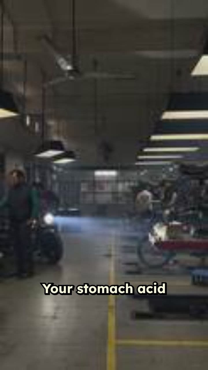 The Stomach's Remarkable Self-Defense Mechanisms