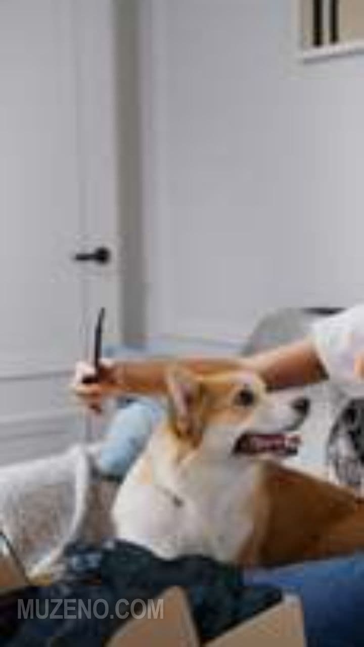 Camera Roll Confession 