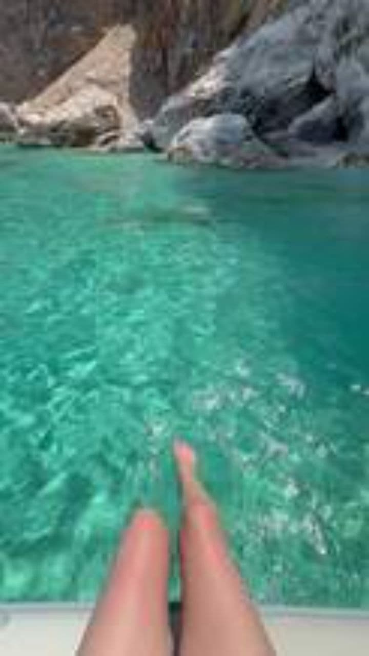 Le buffle d'eau, roi des rizières