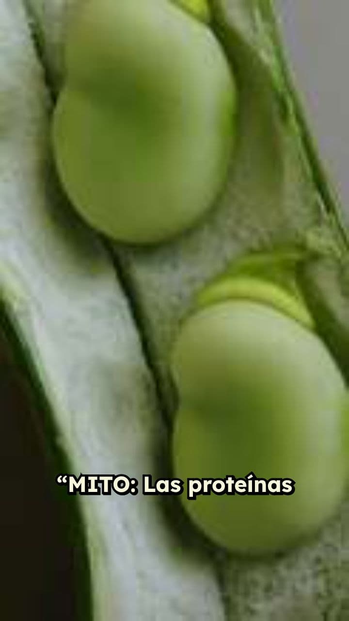 Las proteínas vegetales NO sirven para ganar músculo