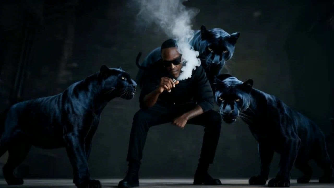 Image transform video